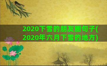 2020下雪的朋友圈句子(2020年六月下雪的地方)