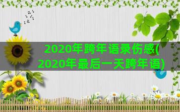 2020年跨年语录伤感(2020年最后一天跨年语)