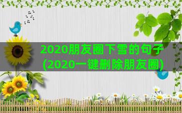 2020朋友圈下雪的句子(2020一键删除朋友圈)