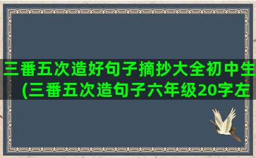 三番五次造好句子摘抄大全初中生(三番五次造句子六年级20字左右)