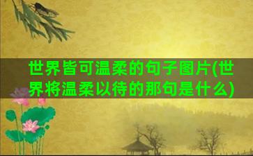 世界皆可温柔的句子图片(世界将温柔以待的那句是什么)