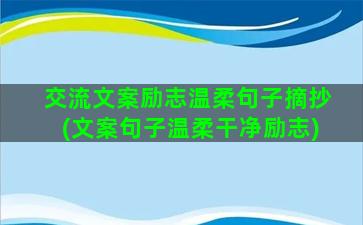 交流文案励志温柔句子摘抄(文案句子温柔干净励志)