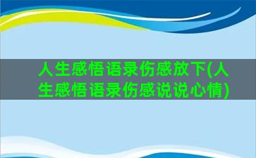 人生感悟语录伤感放下(人生感悟语录伤感说说心情)