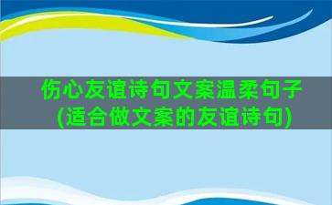 伤心友谊诗句文案温柔句子(适合做文案的友谊诗句)