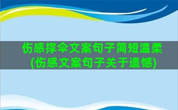 伤感撑伞文案句子简短温柔(伤感文案句子关于遗憾)