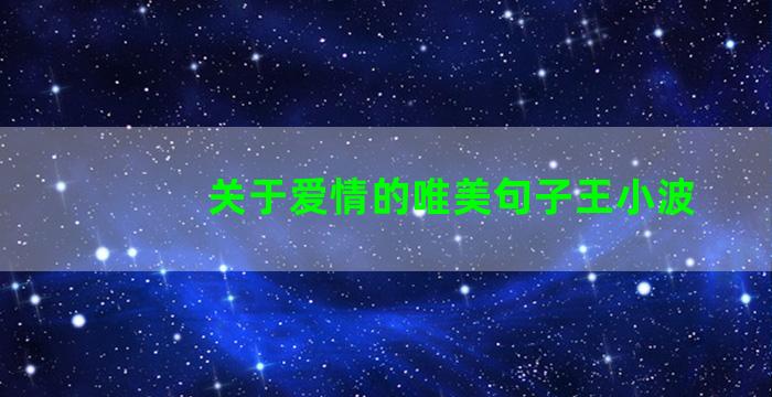 关于爱情的唯美句子王小波