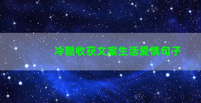 冷酷收获文案生活爱情句子