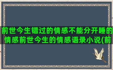 前世今生错过的情感不能分开睡的情感前世今生的情感语录小说(前世今生红楼情)