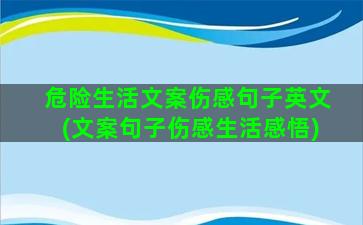 危险生活文案伤感句子英文(文案句子伤感生活感悟)