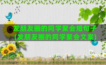 发朋友圈的同学聚会短句子(发朋友圈的同学聚会文案)