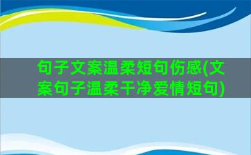 句子文案温柔短句伤感(文案句子温柔干净爱情短句)