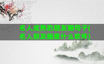 名人成熟的朋友圈句子(名人朋友圈是什么软件)