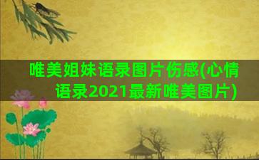 唯美姐妹语录图片伤感(心情语录2021最新唯美图片)