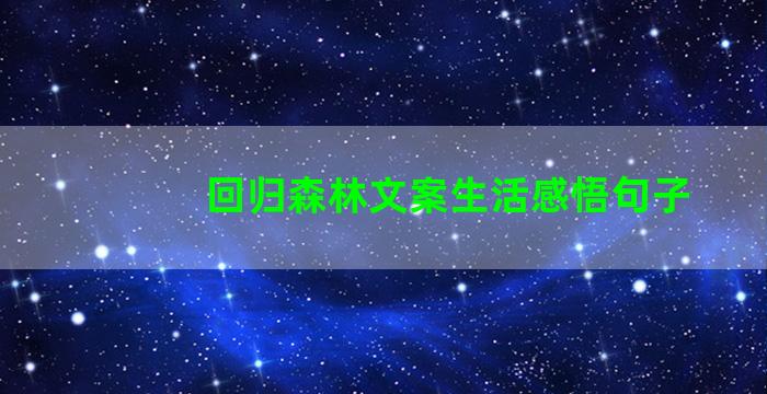 回归森林文案生活感悟句子