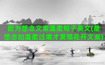 因为想念文案温柔句子英文(是想念如温柔过境才发现花开文案)