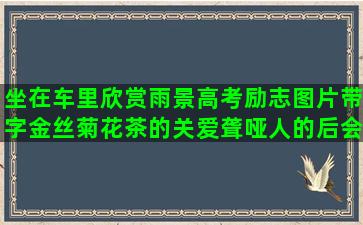 坐在车里欣赏雨景高考励志图片带字金丝菊花茶的关爱聋哑人的后会有期的唯美语录