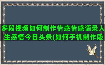 多段视频如何制作情感情感语录人生感悟今日头条(如何手机制作段视频)