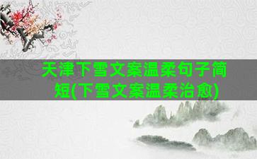 天津下雪文案温柔句子简短(下雪文案温柔治愈)