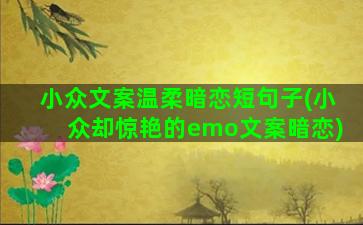 小众文案温柔暗恋短句子(小众却惊艳的emo文案暗恋)