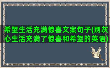 希望生活充满惊喜文案句子(别灰心生活充满了惊喜和希望的英语)