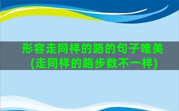 形容走同样的路的句子唯美(走同样的路步数不一样)