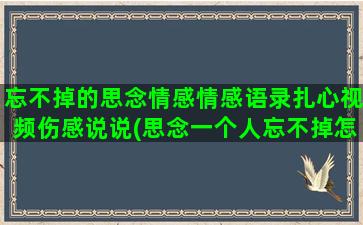 忘不掉的思念情感情感语录扎心视频伤感说说(思念一个人忘不掉怎么办)