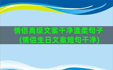 情侣高级文案干净温柔句子(情侣生日文案短句干净)