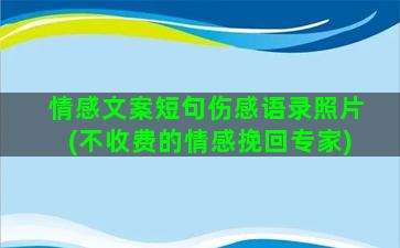 情感文案短句伤感语录照片(不收费的情感挽回专家)