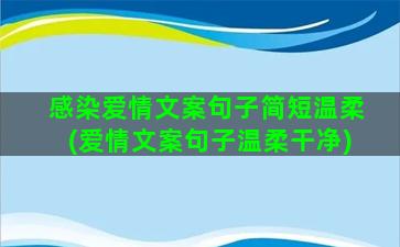 感染爱情文案句子简短温柔(爱情文案句子温柔干净)