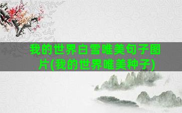 我的世界白雪唯美句子图片(我的世界唯美种子)