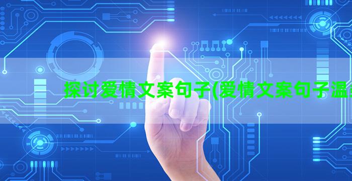 探讨爱情文案句子(爱情文案句子温柔)