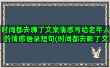 时间都去哪了文案情感写给老年人的情感语录短句(时间都去哪了文案)