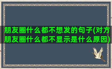 朋友圈什么都不想发的句子(对方朋友圈什么都不显示是什么原因)