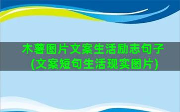 木薯图片文案生活励志句子(文案短句生活现实图片)