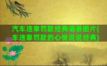 汽车违章罚款经典语录图片(车违章罚款的心情说说经典)