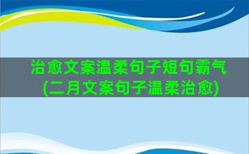 治愈文案温柔句子短句霸气(二月文案句子温柔治愈)