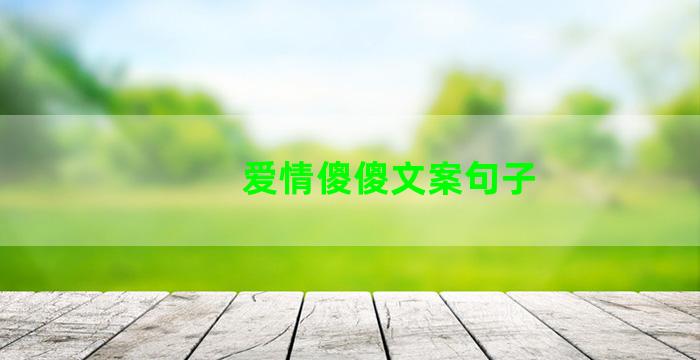 爱情傻傻文案句子