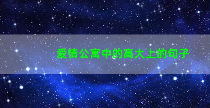 爱情公寓中的高大上的句子