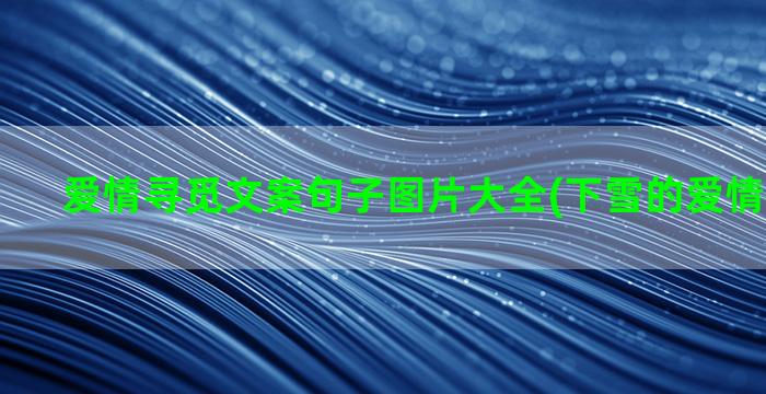 爱情寻觅文案句子图片大全(下雪的爱情文案句子)