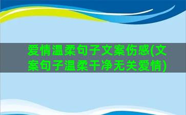 爱情温柔句子文案伤感(文案句子温柔干净无关爱情)