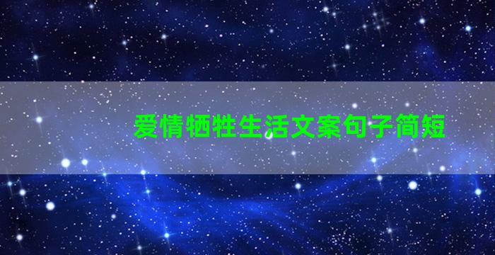 爱情牺牲生活文案句子简短