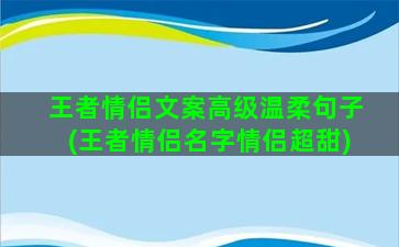 王者情侣文案高级温柔句子(王者情侣名字情侣超甜)