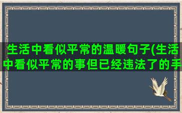 生活中看似平常的温暖句子(生活中看似平常的事但已经违法了的手抄报)