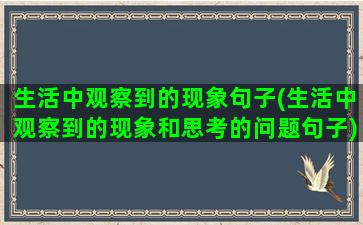 生活中观察到的现象句子(生活中观察到的现象和思考的问题句子)