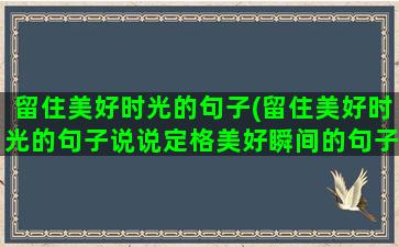 留住美好时光的句子(留住美好时光的句子说说定格美好瞬间的句子)