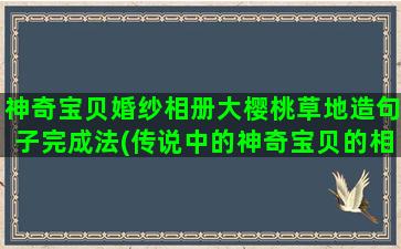 神奇宝贝婚纱相册大樱桃草地造句子完成法(传说中的神奇宝贝的相册)