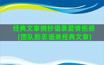 经典文章摘抄语录爱情伤感(团队励志语录经典文章)