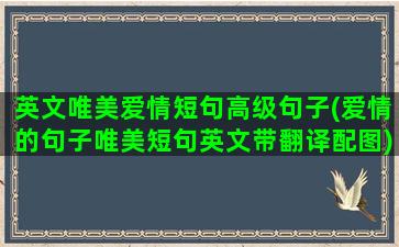 英文唯美爱情短句高级句子(爱情的句子唯美短句英文带翻译配图)