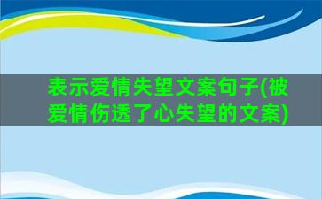 表示爱情失望文案句子(被爱情伤透了心失望的文案)