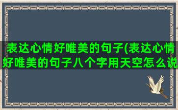 表达心情好唯美的句子(表达心情好唯美的句子八个字用天空怎么说)